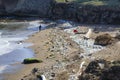 Beach contaminated by garbage, plastics and wastewater in the city of Santo Domingo, Dominican Republic