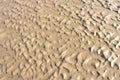 Beach contours Royalty Free Stock Photo