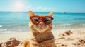 Beach-cool cat lounges with swagger in sunglasses, the epitome of feline chic by the shore, Ai Generated