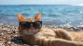 Beach-cool cat lounges with swagger in sunglasses, the epitome of feline chic by the shore, Ai Generated