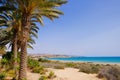 Beach Costa Calma on Fuerteventura, Canary Islands Royalty Free Stock Photo