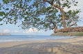 Beach in Costa Rica. Coastlines bordering.