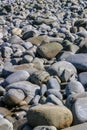 Beach covered with large grey smooth pebbles or stones. Royalty Free Stock Photo