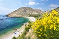 Beach in Croatia Royalty Free Stock Photo