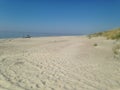 Beach at Curonian Spit Royalty Free Stock Photo