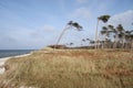 Beach of Darss - Weststrand