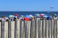 Beach Day