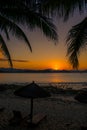 Beach daybed and the palm trees at Dadonghai beach, Sanya, China Royalty Free Stock Photo