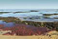 Beach de Le Vieil in island of Noirmoutier Royalty Free Stock Photo