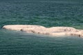 Beach of the Dead - Sea of Sodom