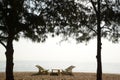 Beach deck chairs in the morning at Cha-am Beach.