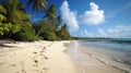 Beach delight: sun, sand, and ocean