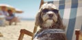 beach dog chair vacation relax summer lazy funny sunglasses pet. Generative AI. Royalty Free Stock Photo