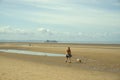 Beach dog walker. Royalty Free Stock Photo