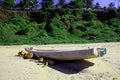 Beach Dogs relaxing under the shadow of country boat Royalty Free Stock Photo