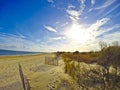 Beach Dreaming