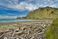 Beach and wharf of Tolaga Bay, New Zealand Royalty Free Stock Photo