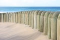 Beach dune and beach fence Royalty Free Stock Photo