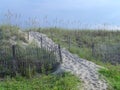 Beach dune pathway with fence Royalty Free Stock Photo