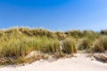 Beach and dunes with beachgrass