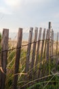 Beach dunes fence