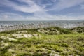 Beach Dunes and Natural Vegetation in Amelia Island Royalty Free Stock Photo