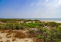 Beach with dunes and vegetation and the sea in the background with fishing pens