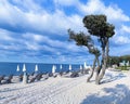 Beach in the morning at the Adriatic sea Royalty Free Stock Photo