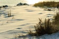 Beach early morning snow Royalty Free Stock Photo