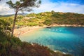 The beach on Elba island