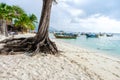 beach erosion on the beach of Koh Lipe Thailand