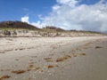 Beach Erosion Royalty Free Stock Photo