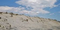 Beach Erosion on the Jersey Coastline