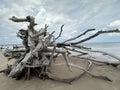 Beach erosion