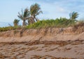 Beach Erosion Series Royalty Free Stock Photo