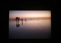 Beach evening with camel ride Royalty Free Stock Photo