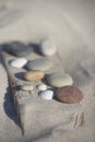 Beach Findings Pebble Collection On Driftwood Royalty Free Stock Photo