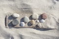 Beach Findings Pebble Collection On Driftwood Royalty Free Stock Photo