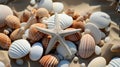 beach finds: small seashells, fossil coral and sand dollars, puka shells, a sea urchin and a white starfish. AI Royalty Free Stock Photo