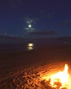 Beach fire under moonlight Royalty Free Stock Photo