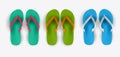 Beach Flip Flop Collection Set Vector Illustration Royalty Free Stock Photo