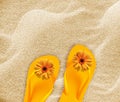 Beach flip flops Royalty Free Stock Photo