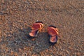Beach flip flops on sea sand Royalty Free Stock Photo