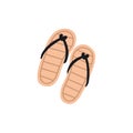 Beach flip-flops, top view. Summer foot wear for women. Vacation flipflops, footwear. Female slipper shoes for holiday