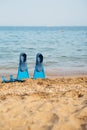 beach, flippers for swimming Royalty Free Stock Photo