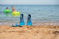 beach, flippers for swimming Royalty Free Stock Photo