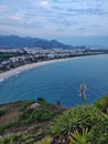 Beach and flower Royalty Free Stock Photo