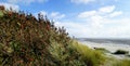 Beach on Foehr Island Royalty Free Stock Photo