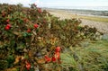 Beach on Foehr Island Royalty Free Stock Photo