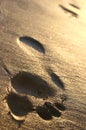 Beach Footprints